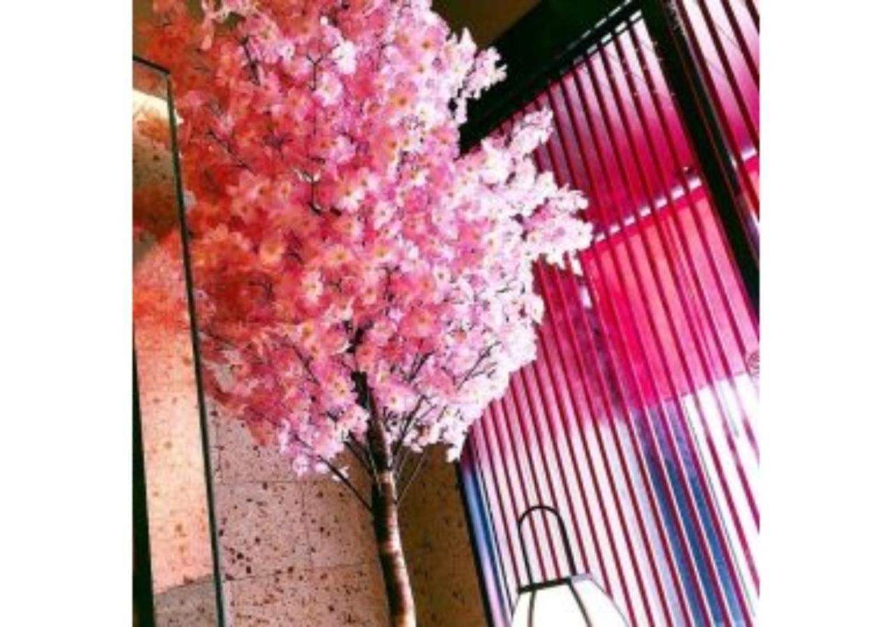 Sakura Sky Hotel - Vacation Stay 18444V Tokyo Exterior photo